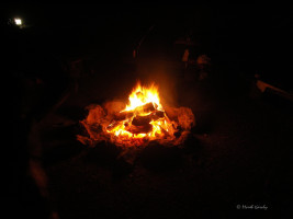 andelf 09 andelf 09