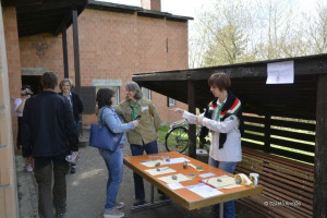 cserkeszjubi cserkeszjubi