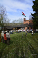 cserkeszjubi cserkeszjubi