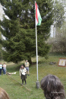 cserkeszjubi cserkeszjubi