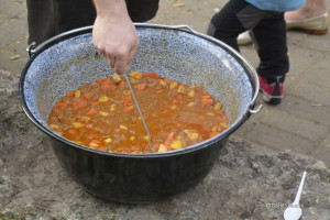 cserkeszjubi cserkeszjubi