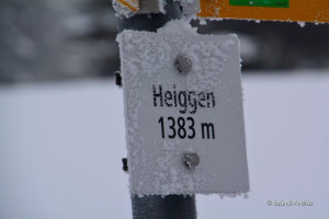 hotalp 15 hotalp 15