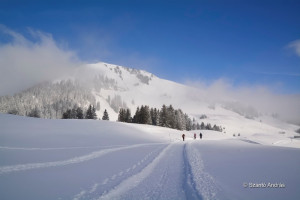 hotalp 15 hotalp 15
