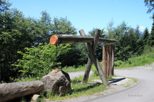 maienfeld 11 maienfeld 11