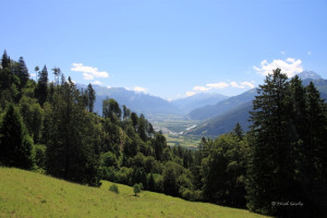 maienfeld 11 maienfeld 11