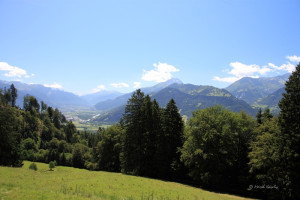 maienfeld 11 maienfeld 11
