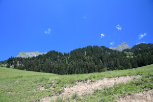 maienfeld 11 maienfeld 11