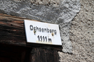 maienfeld 11 maienfeld 11
