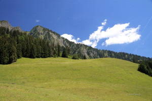maienfeld 11 maienfeld 11