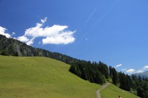 maienfeld 11 maienfeld 11
