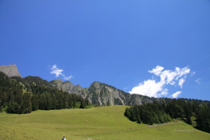 maienfeld 11 maienfeld 11
