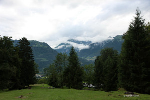 maienfeld 16 maienfeld 16
