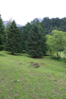 maienfeld 16 maienfeld 16
