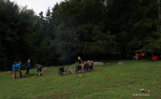 maienfeld 16 maienfeld 16