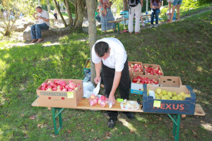 mhnap 2011 mhnap 2011