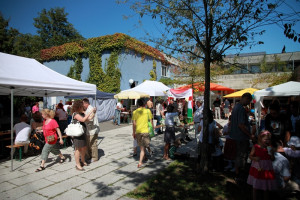 mhnap 2011 mhnap 2011