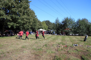 mhnap 2011 mhnap 2011