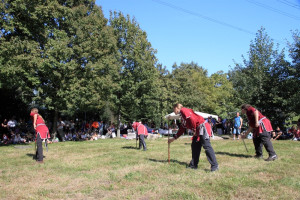 mhnap 2011 mhnap 2011