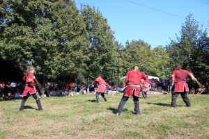 mhnap 2011 mhnap 2011