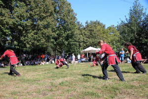 mhnap 2011 mhnap 2011