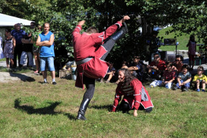 mhnap 2011 mhnap 2011