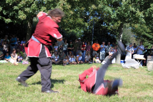 mhnap 2011 mhnap 2011