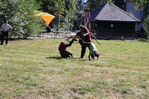 mhnap 2011 mhnap 2011