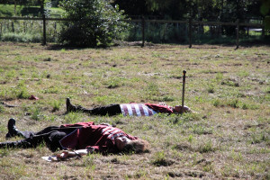 mhnap 2011 mhnap 2011