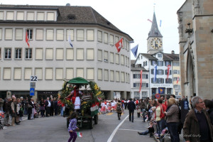 umzug 10 umzug 10