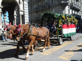 gyerekvonulas 13 gyerekvonulas 13