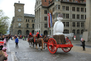 umzug 14 umzug 14