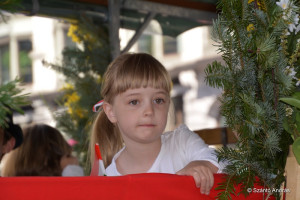 gyerekvonulas 15 gyerekvonulas 15