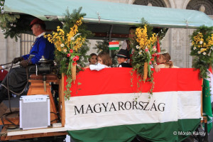 gyerekvonulas 15 gyerekvonulas 15