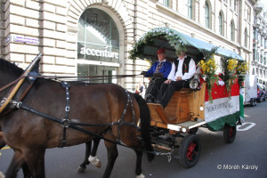 gyerekvonulas 15 gyerekvonulas 15