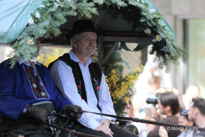 gyerekvonulas 15 gyerekvonulas 15