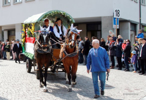 6eleute 17 6eleute 17
