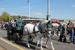 6eleute 17 6eleute 17