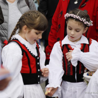 Vonulás´19