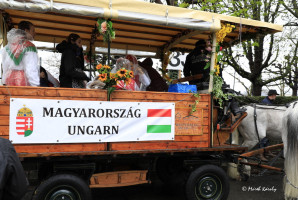 kinderumzug 22 kinderumzug 22